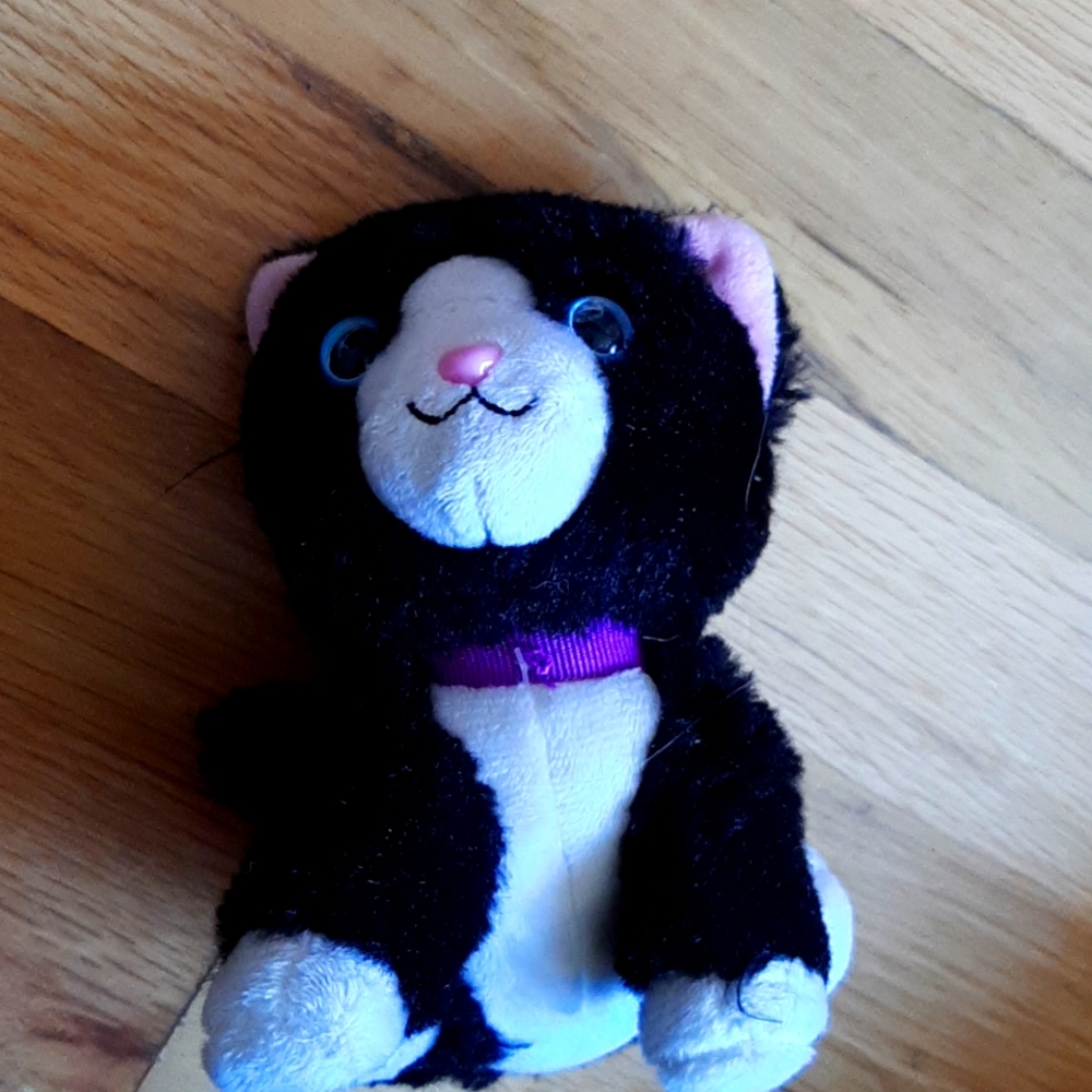 Black and white cat stuffie